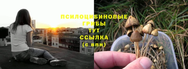 прущая мука Алзамай