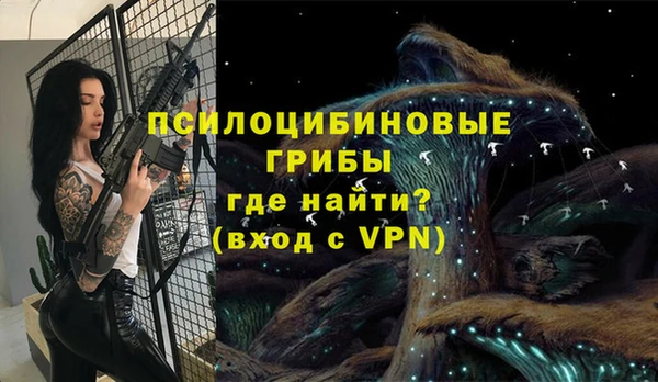 ешки Алексеевка
