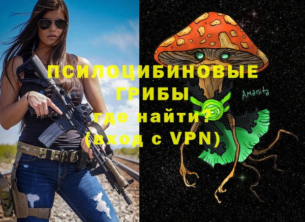 ешки Алексеевка