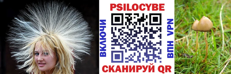 Псилоцибиновые грибы MAGIC MUSHROOMS  МЕГА сайт  Мураши 
