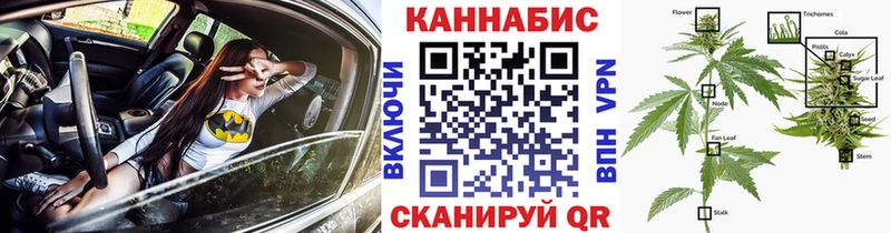 Бошки марихуана конопля как найти закладки Мураши